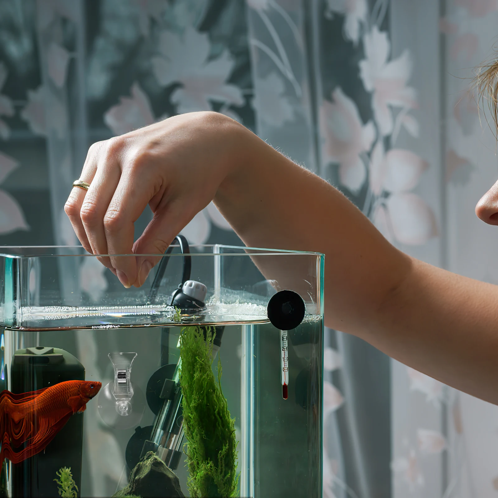 

3 Pcs Fish Tank Feed Clip Airline Tubing Connectors Bracket Aquarium Feeding Seaweed Clips Holder Food