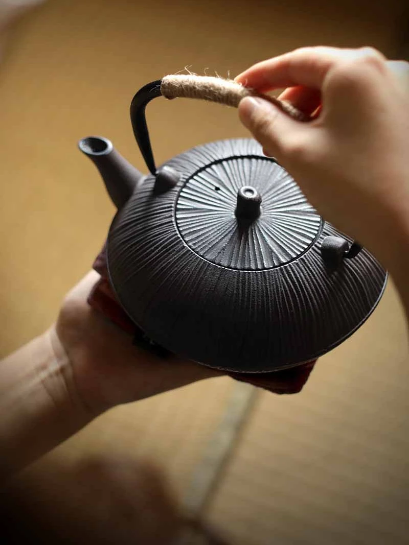 

Japanese Style Handmade Retro Cast Iron Teapot Inner Wall Uncoated Lifting Handle Electric Ceramic Stove Tea Cooker Tea Making