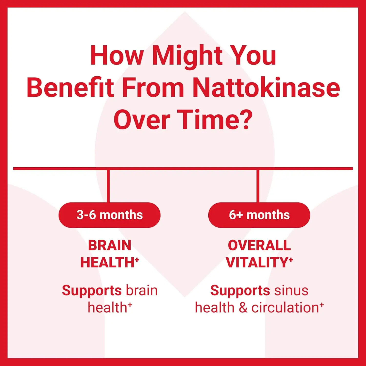 مكمل Nattokinase 4000 FU Serrapeptase 240000 SPU Lumbrokinase 2000 FU - كبسولات البروتين Hydrolase