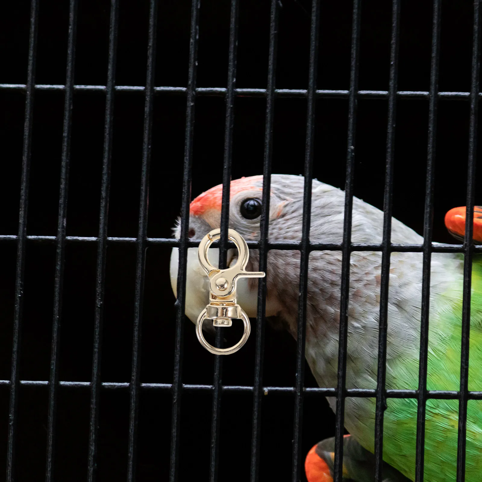 10Pcs Small Pet Cage Accessories Metal Cage Clips For Animal Shelter Bird Lock Buckle Zinc Alloy Anti-escape Parrot