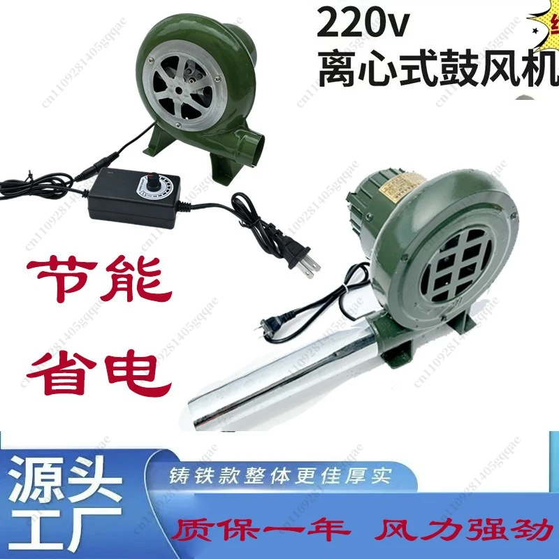 220V Blower, Small Household, High-power, Powerful Barbecue Combustion, Blowing Carbon Wood Stove, Special Hair Dryer, Mini
