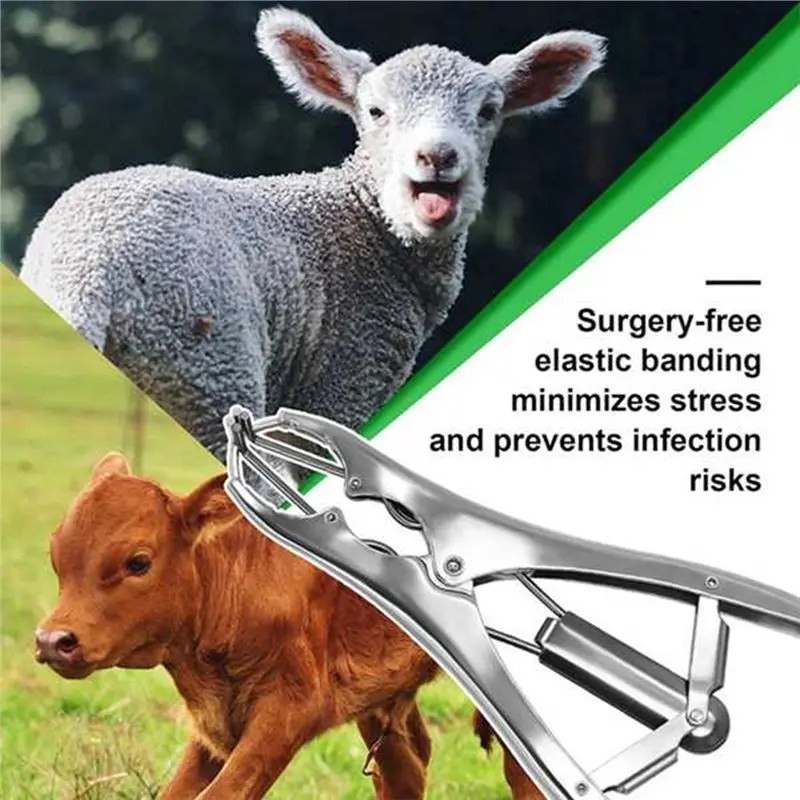 ABLN-Goat Tail Docking Ring Kit-For Farm Use Includes Applicator Pliers And 100 Rings, Castration Included