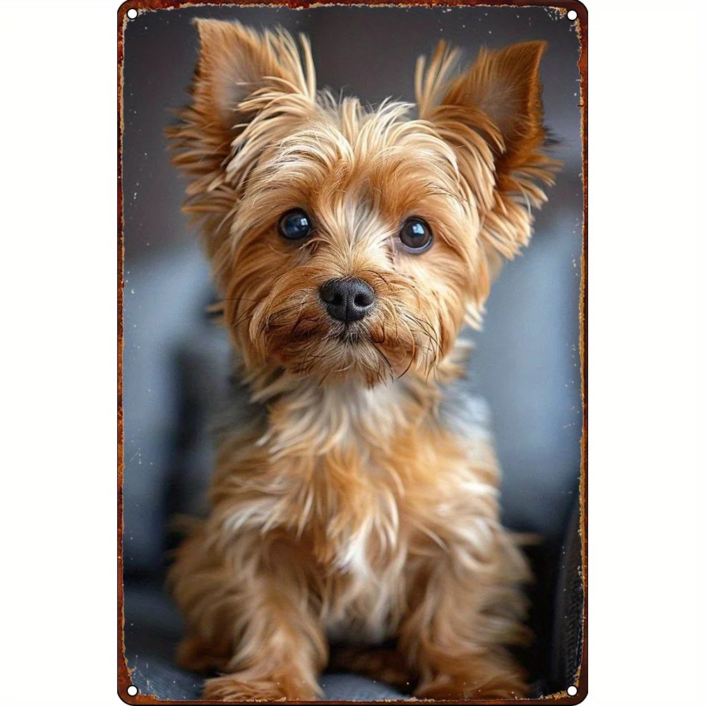 20.32X30.48 Cm Metal Wall Art - Rustic Portrait of a Yorkshire Terrier, Sturdy Iron Home Decoration for Kitchen, Living Room, Ba