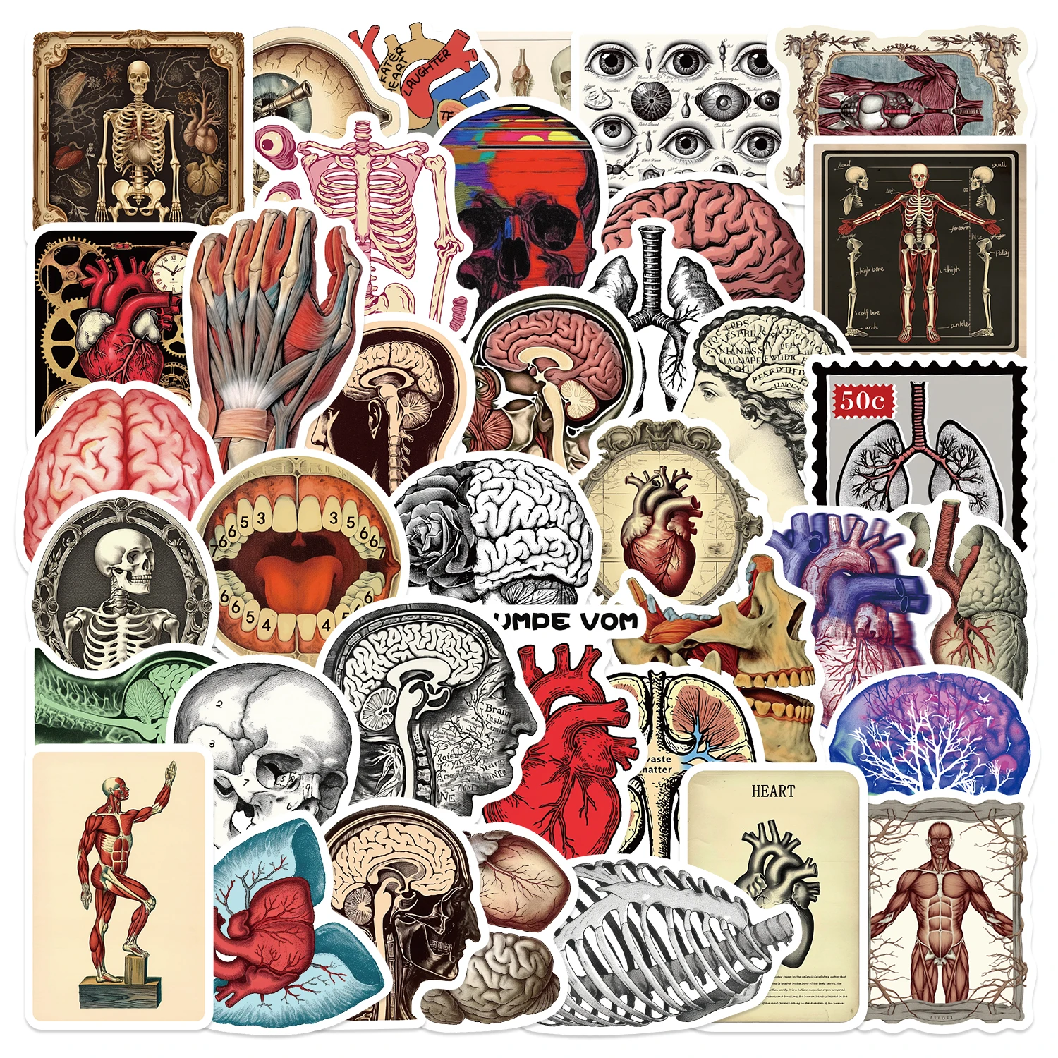 50pcs Cartoon Human Organ Medical Anatomy Stickers Decals Toys Decorative Water Bottle Laptop Phone PVC Waterproof Sticker