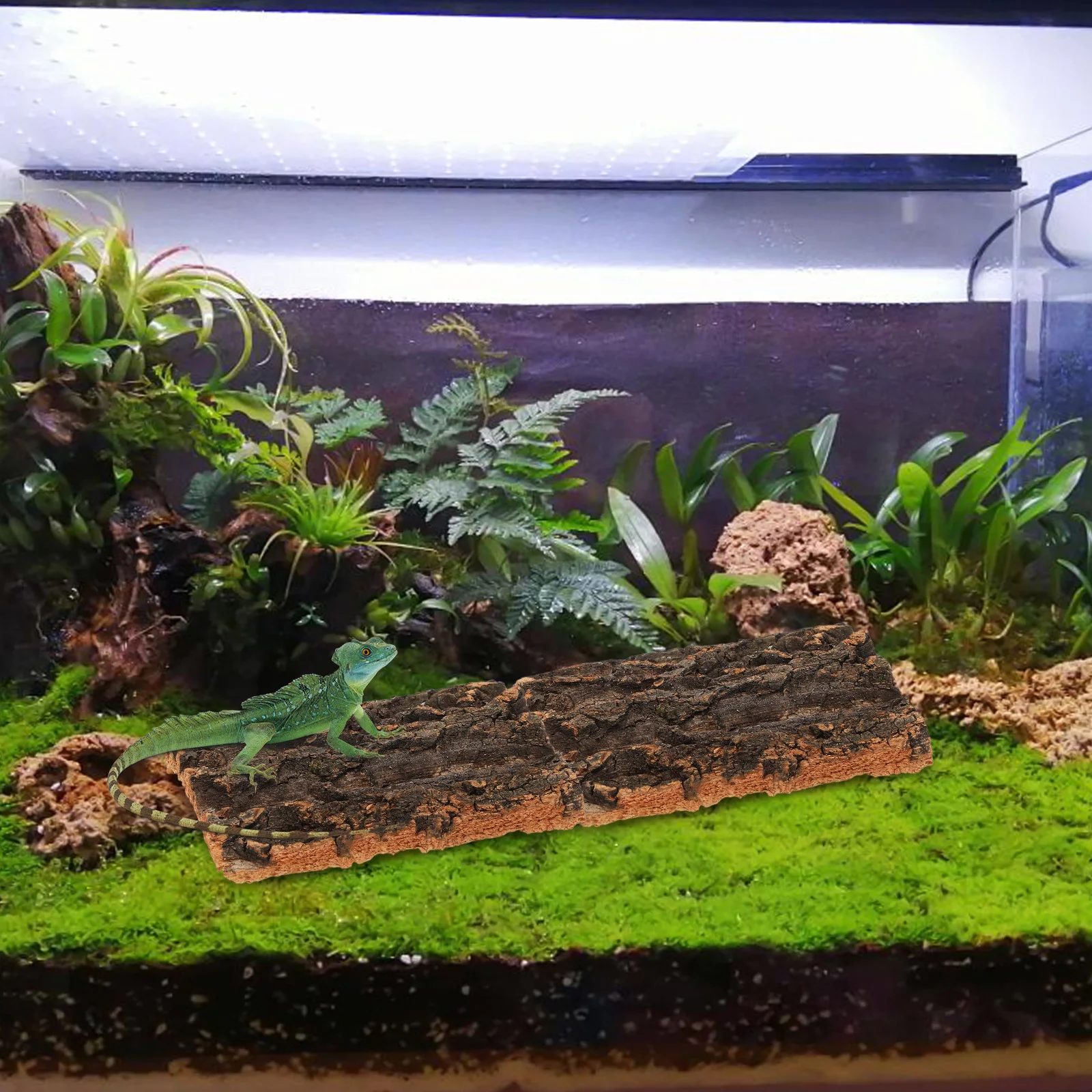 

5pcs Reptile Bark Decor Cork Bark Panel Terrarium Background Reptile Tank Decoration Vivarium Cork Sheets Natural Habitat For