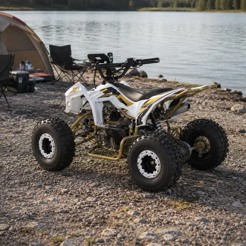Adult Dune Buggy Customized Four Wheel ATV Sport Quad Bike Offroad All Terrain Performance Vehicle Outdoor Adventure