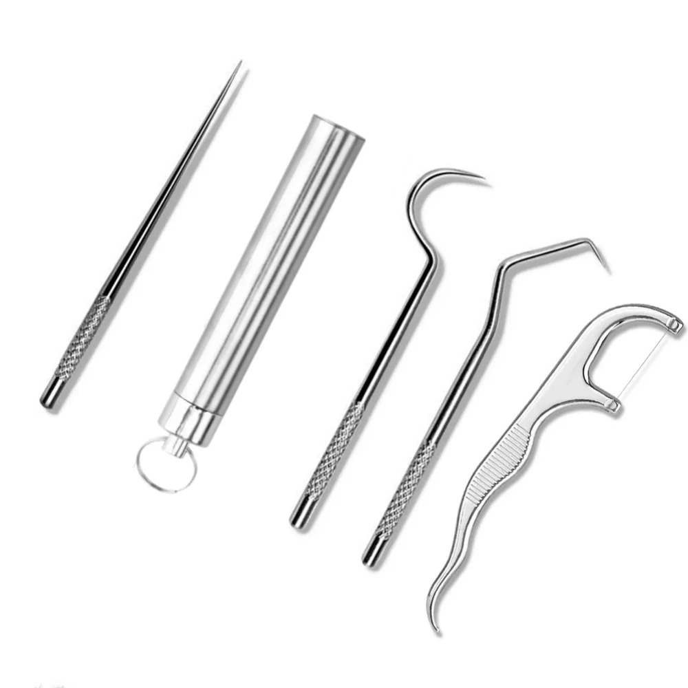 Stainless Steel Toothpicks Pocket Set, Portable Floss Pick Reusable Metal Toothpicks Tooth Cleaning Kit With Keychain Holder