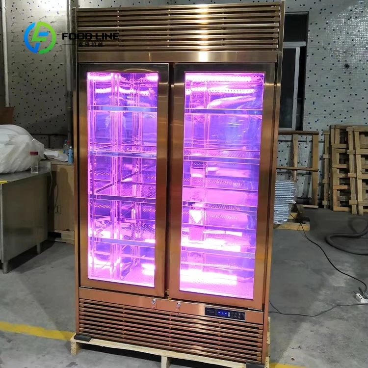 Beef Dry Aged Fridge Customized 500L Single Door Strong Air Purification Meat Ager Aging Refrigerator Commercial Meat Storage