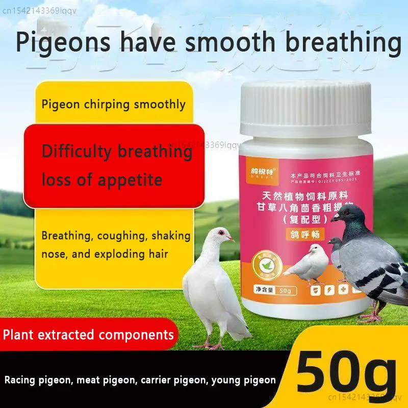 Pigeon breathing. Smooth pigeon breathing. Meat pigeon. Racing pigeon. Difficulty breathing. Blowing nose, hair, loss of appetit
