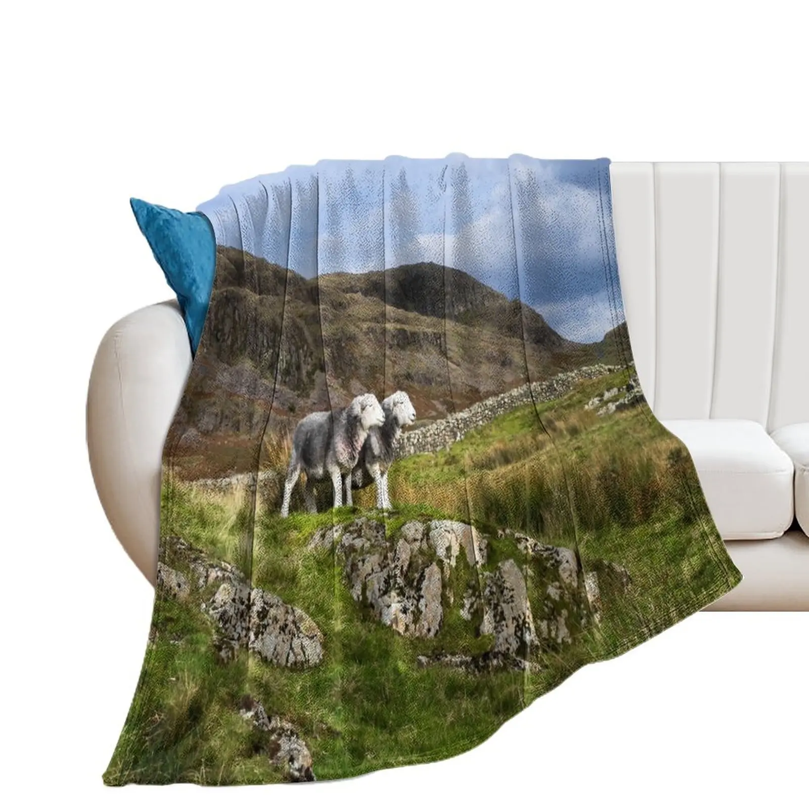 Herdwick Sheep in The Lake District Throw Blanket Soft Hairy christmas gifts for sofa Blankets