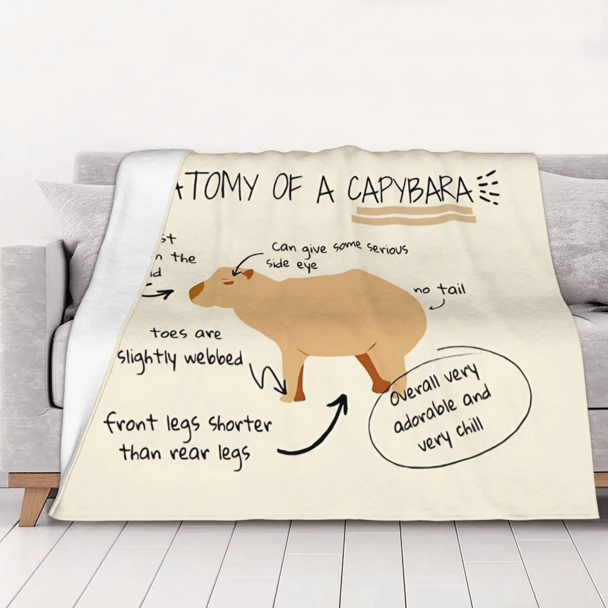 1PC Home Cute Room Decor Anatomy of a capybara Blanket Throw Blanket Capybara Novelty Warm Blanket All Season