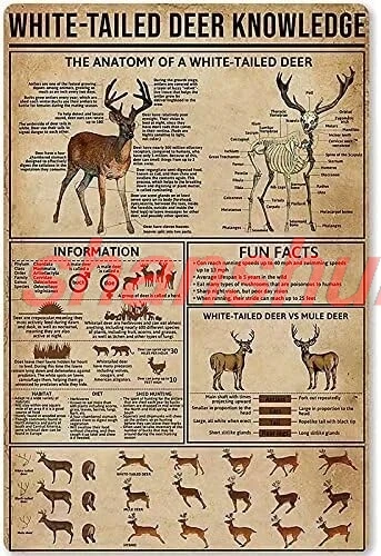 shan s,White-Tailed Deer Knowledge Vintage Room Decor,Gift For Animal Enthusiasts,Wall Decor Vintage Tin Signs for Home B 1pc