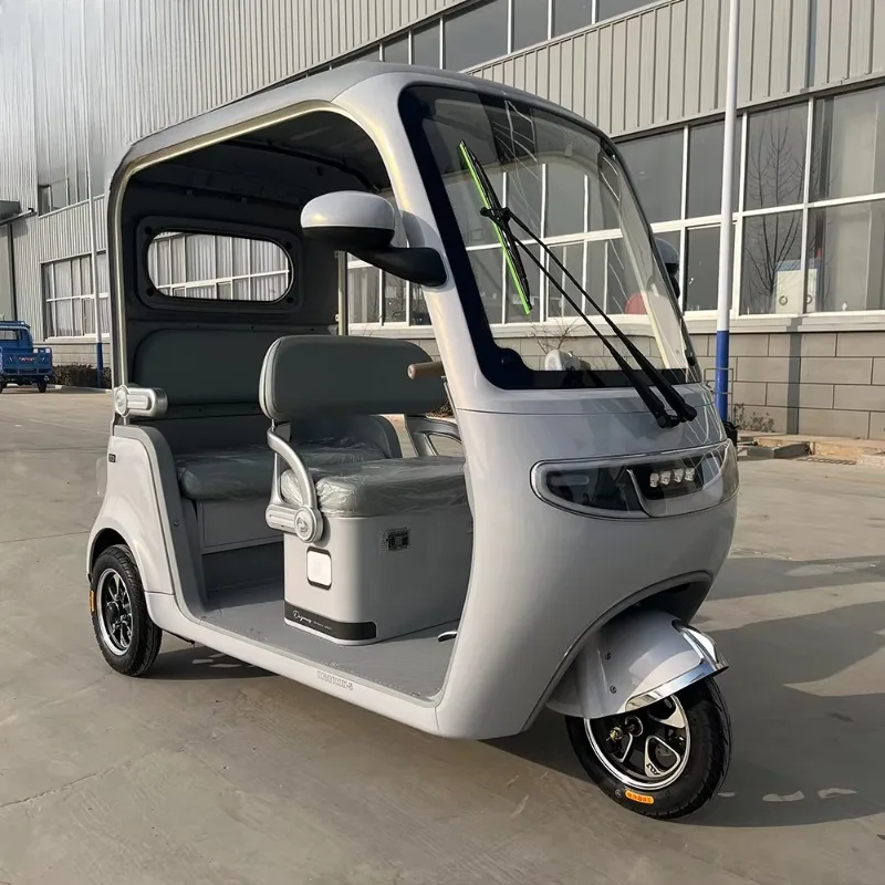 Open Bucket Electric Transport Tricycle High Efficiency Motor Three Wheel Electric Vehicle Farm Rural Goods Haulage Short