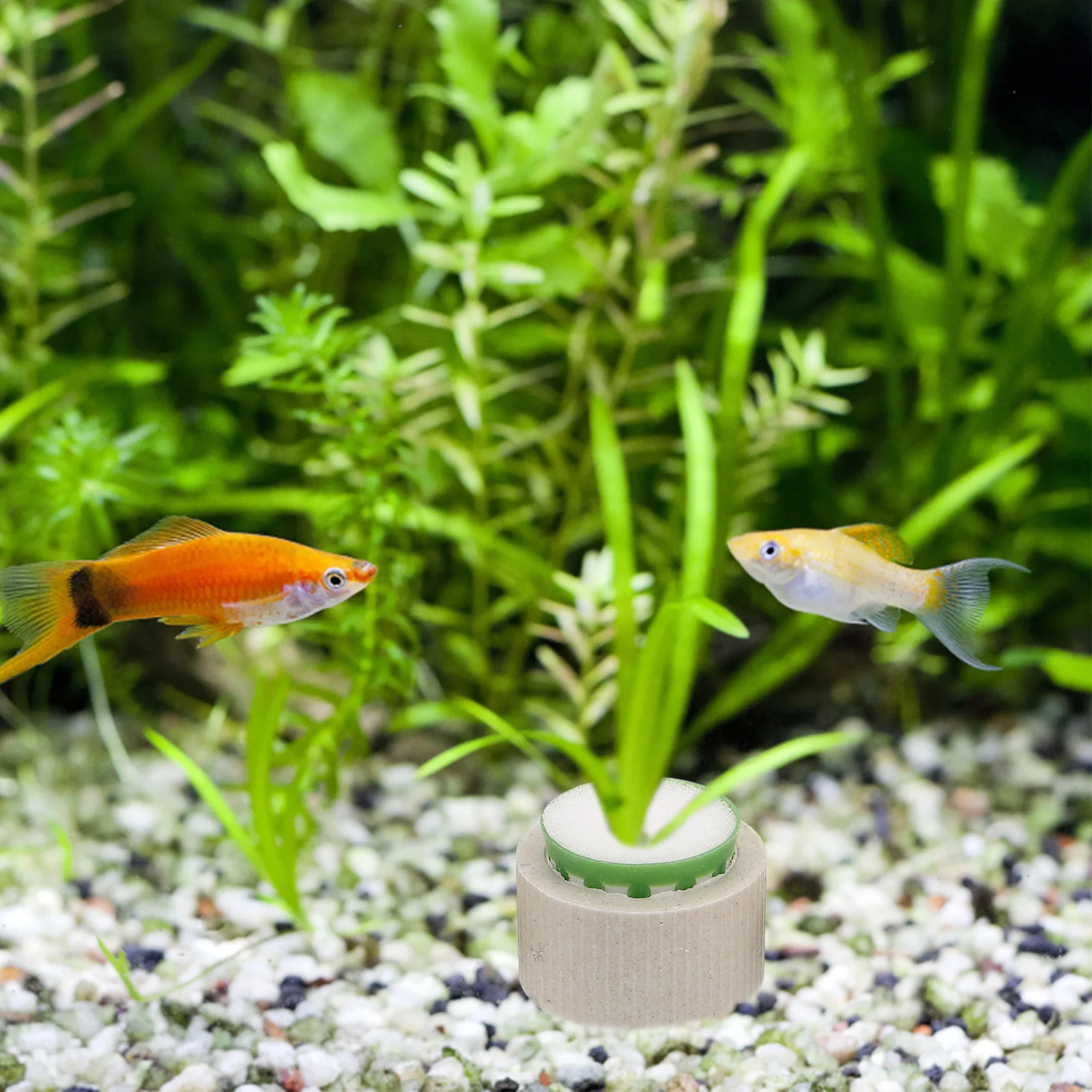 

9pcs Aquarium Plant Holder Ceramic Water Grass Planting Cups For Fish Tank Anti Floating Rings Aquatic Plant Fixed Accessories