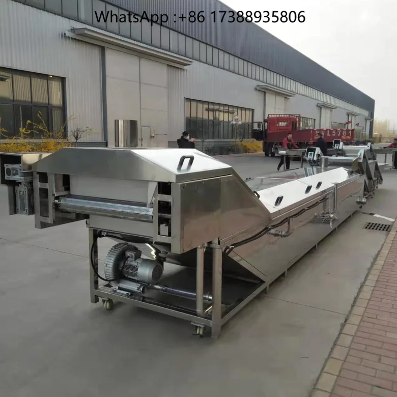 Food Fruit Vegetable Mushroom Precooking Pasteurizer Machine