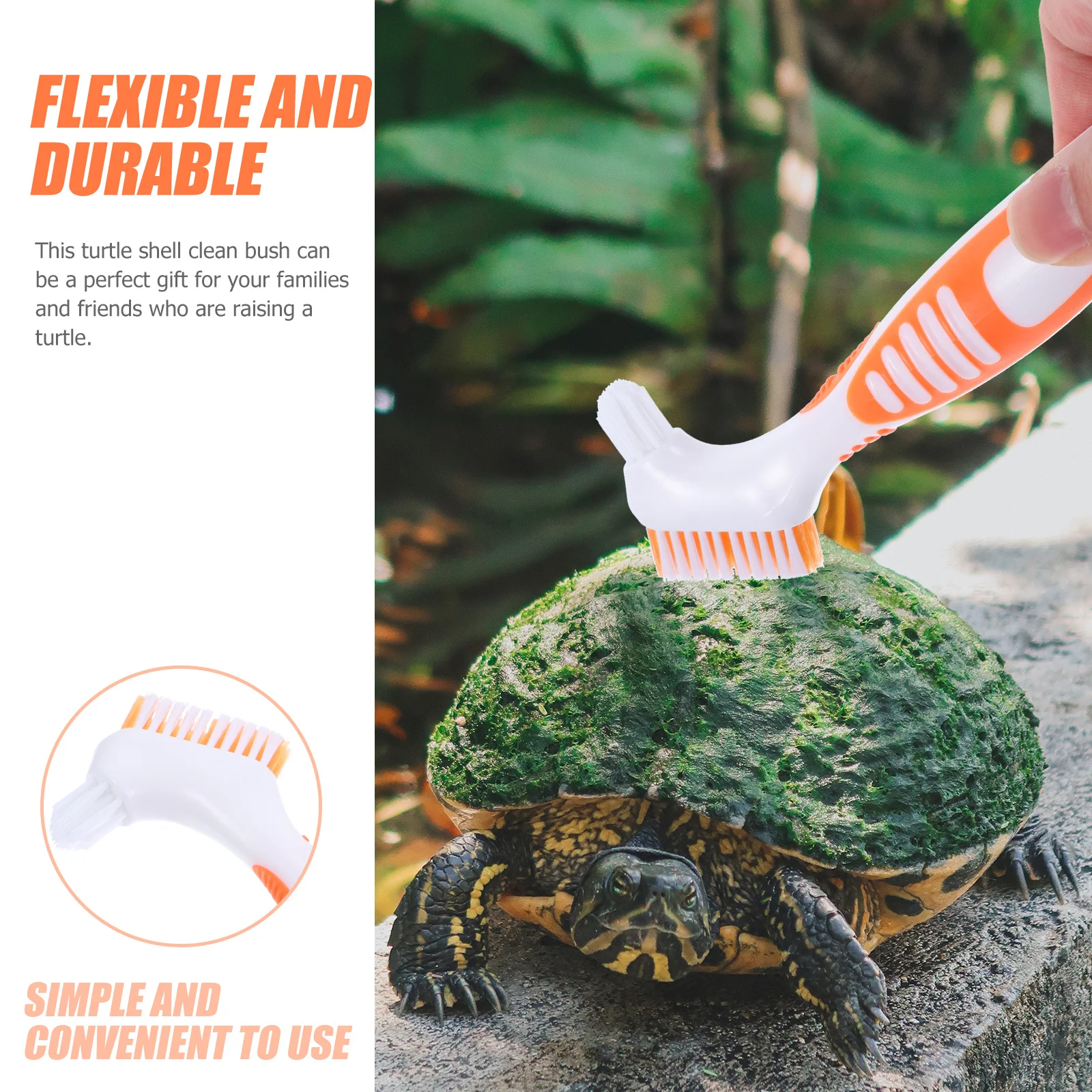 Turtle Shell Cleaning Brush Double-Sided Mini Portable Multi-Functional Aquatic Tortoise Mud Remover Tool For Pet Care Household