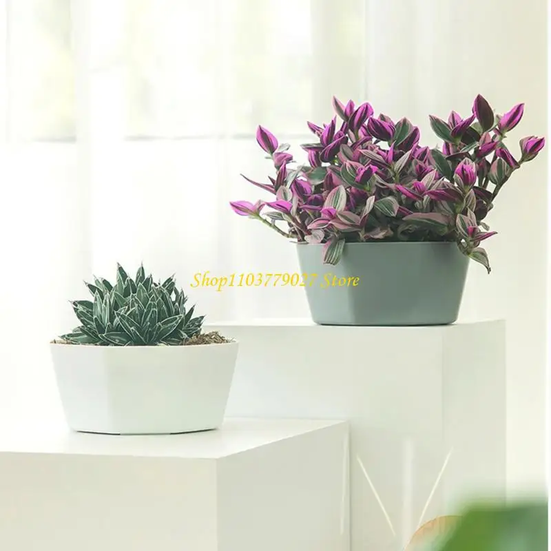 C4DF Plastic Plant Pot Shuttle Tray with 6 Cell 6inch Plastic Pots for Balcony Use