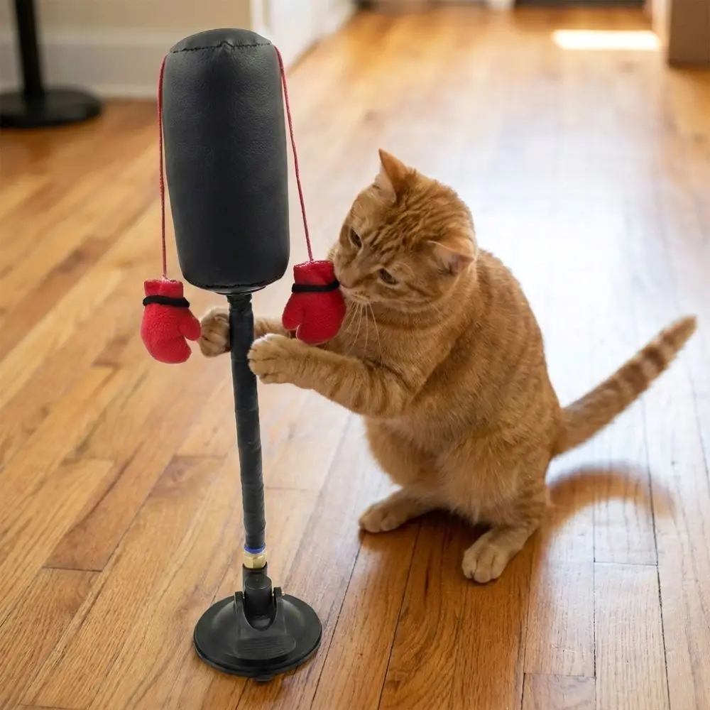 Suction Cup Cat Boxing Toy Scratch Trainer Self-standing Interactive Cat Toy Scratch Resistant Bite Resistant Cat Boxing Game