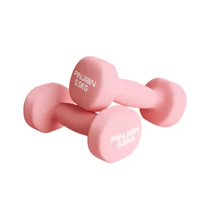 2 Pcs Dumbbell Fitness Equipment Stable Durable Dumbbell 0.5kg Weight Training Home Bodybuilding For Women Fitness Equipment 10 Top Sales Gym Weights Kit - №5