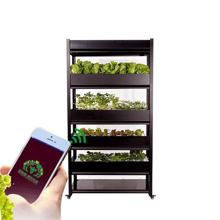 Smart Hydroponic Growing Greenhouse System Cabinet Quick Grow Box For Lettuce Strawberry Herds