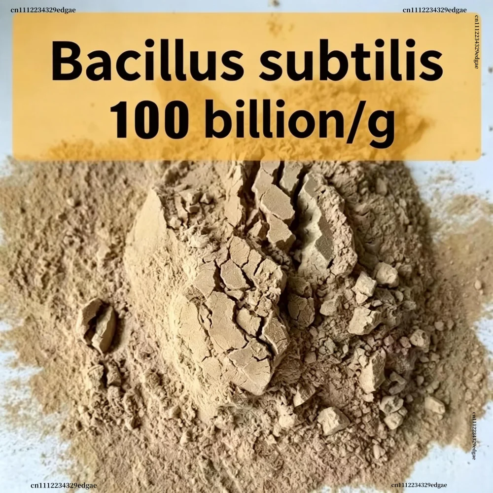 High Purity Bacillus Subtilis For Plant Growth, Water Purification & Livestock Feed Supplement Organic Fertilizer