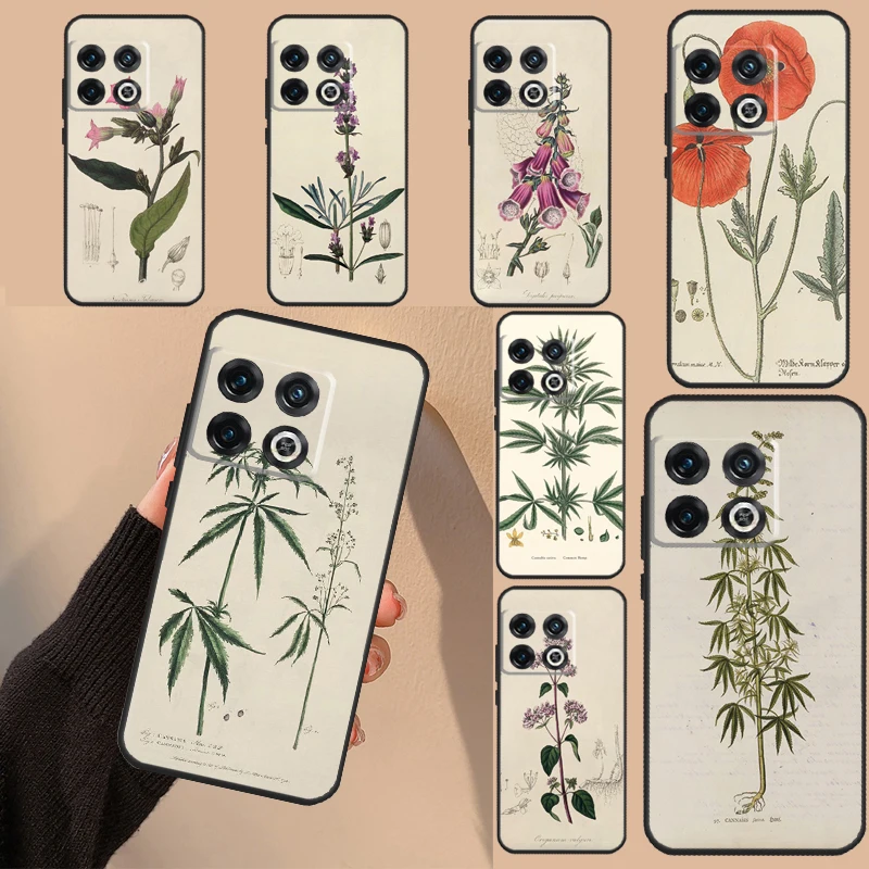 Botanical Drawings Flowers Cover For OnePlus Nord 3 2T N10 N20 N30 CE 3 2 Lite OnePlus 11 10 9 Pro 8T 9R 10R 10T Case