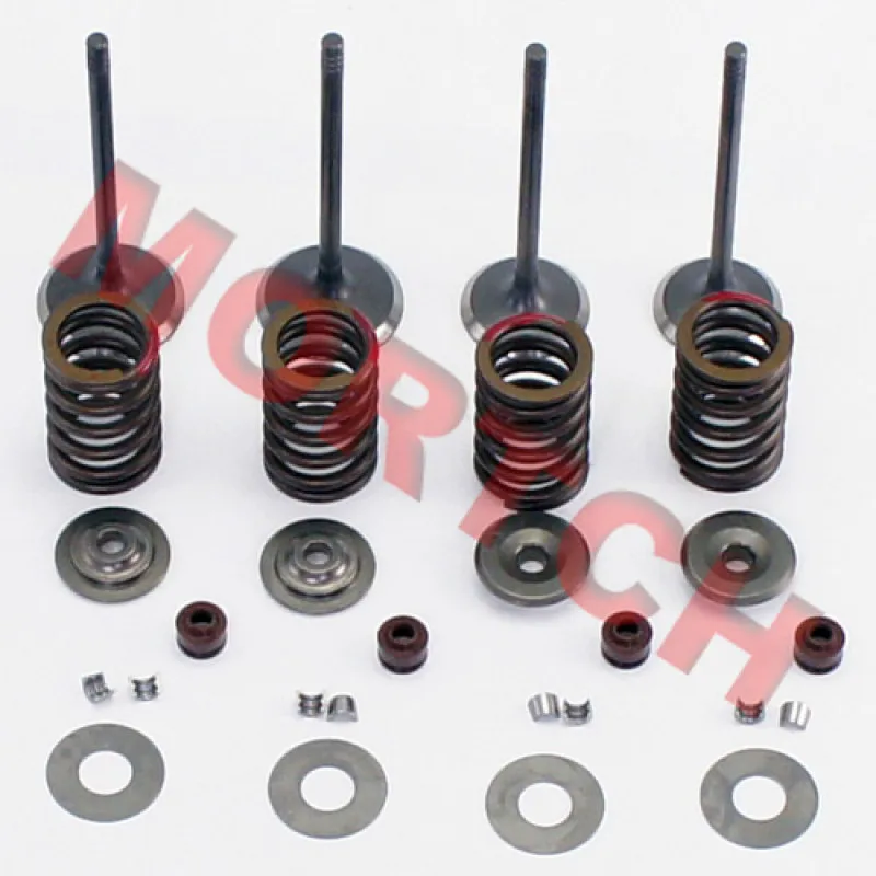 Einlass-Auslass-Ventil-Baugruppe 800-6027 für CF Motor CForce UForce ZForce 450 520 500 600 800 1000 – Detail 2