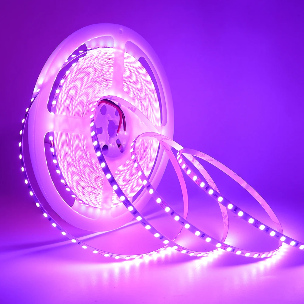 12V 24V 5m 10m LED Strip 5mm 8mm PCB Light 2835 120Leds/m White Red Pink Purple Ice Blue Flexible Tape Backlights for Decoration