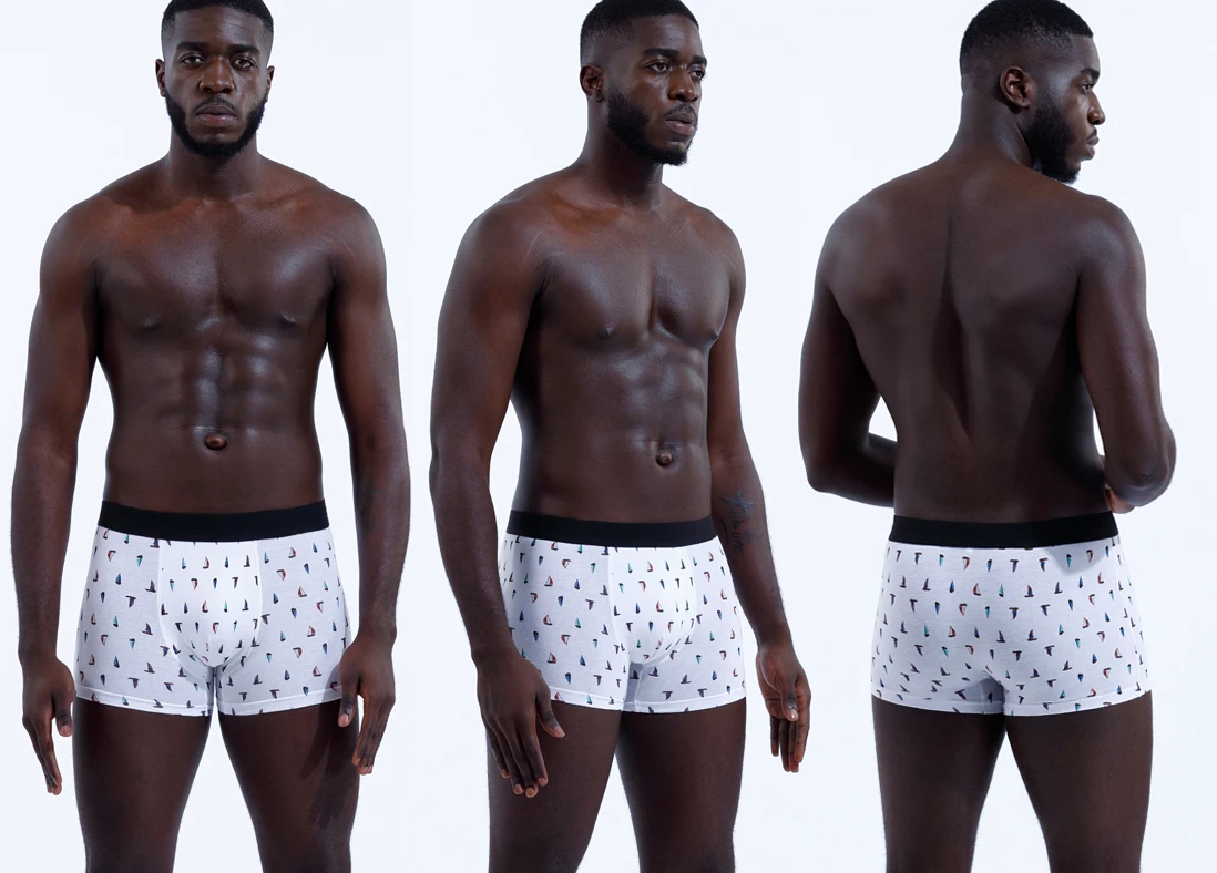 3 stücke Schlüpfer der Männer Sexy Druck Unterwäsche für Mann Solide Homme Unterhose Baumwolle Herren Boxer Shorts Männliche Badehose geschenk – Detail 5