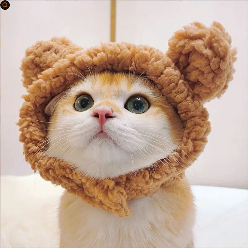 Cute Bear Headwear Pet Cats Dogs Warm Bear Hat Breathable Small Kitten Costume funny Pet Hat Headwear Hat For Pets Puppies