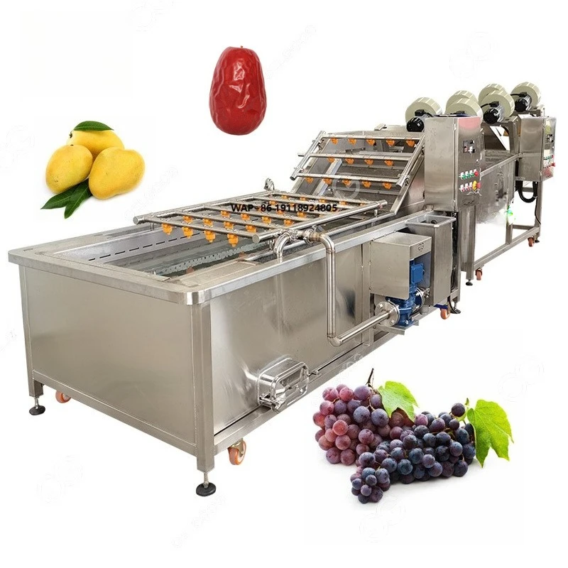 Commercial Industrial Vegetable Washer and Dryer Machine Grape Raisins Dried Fruit Bubble Washing Cleaner