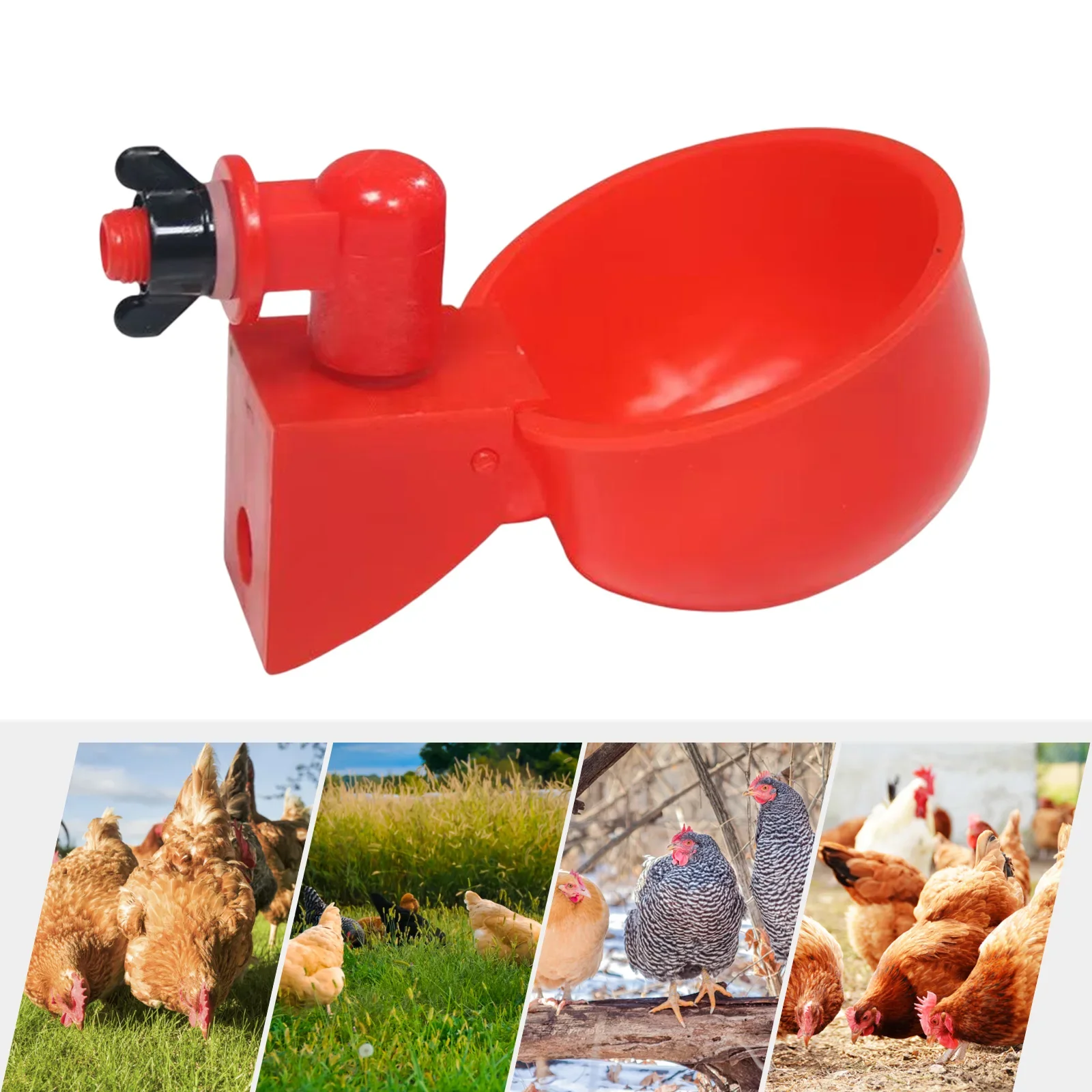 36-1pcs Chicken Duck Water Dispenser Drinking Cup Poultry Feeder Drinking Bowl Automatic Poultry Drinking Water Bowl for Farm