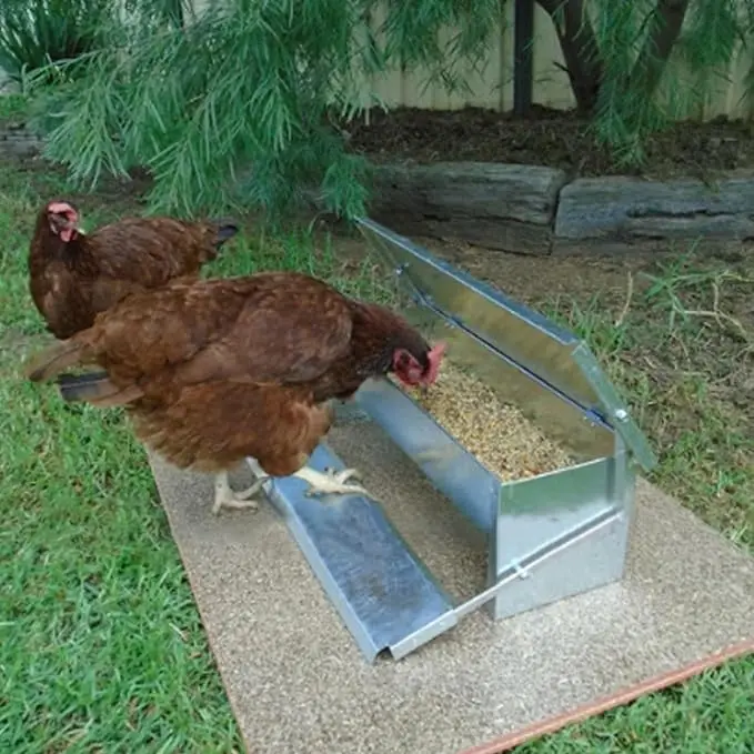 Automatic Chicken Feeder No Waste Treadle 11lb Stainless Steel Poultry Feeder with Weatherproof Lid for Chicken Pheasants Ducks