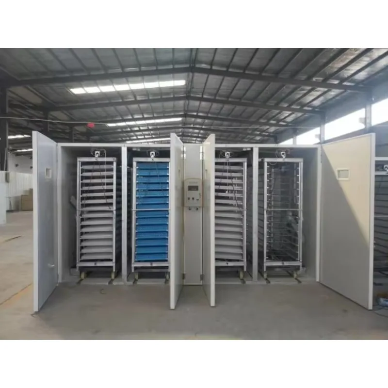 

2021New Chicken/ 10000 S Chicken/solar Power For Hatching S