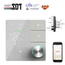 Termostato riscaldante 24V 110V 220V materia per protocollo WIFI ZIGBEE compatibile funziona Apple HomeKit, assistente Google, Amazon Alexa