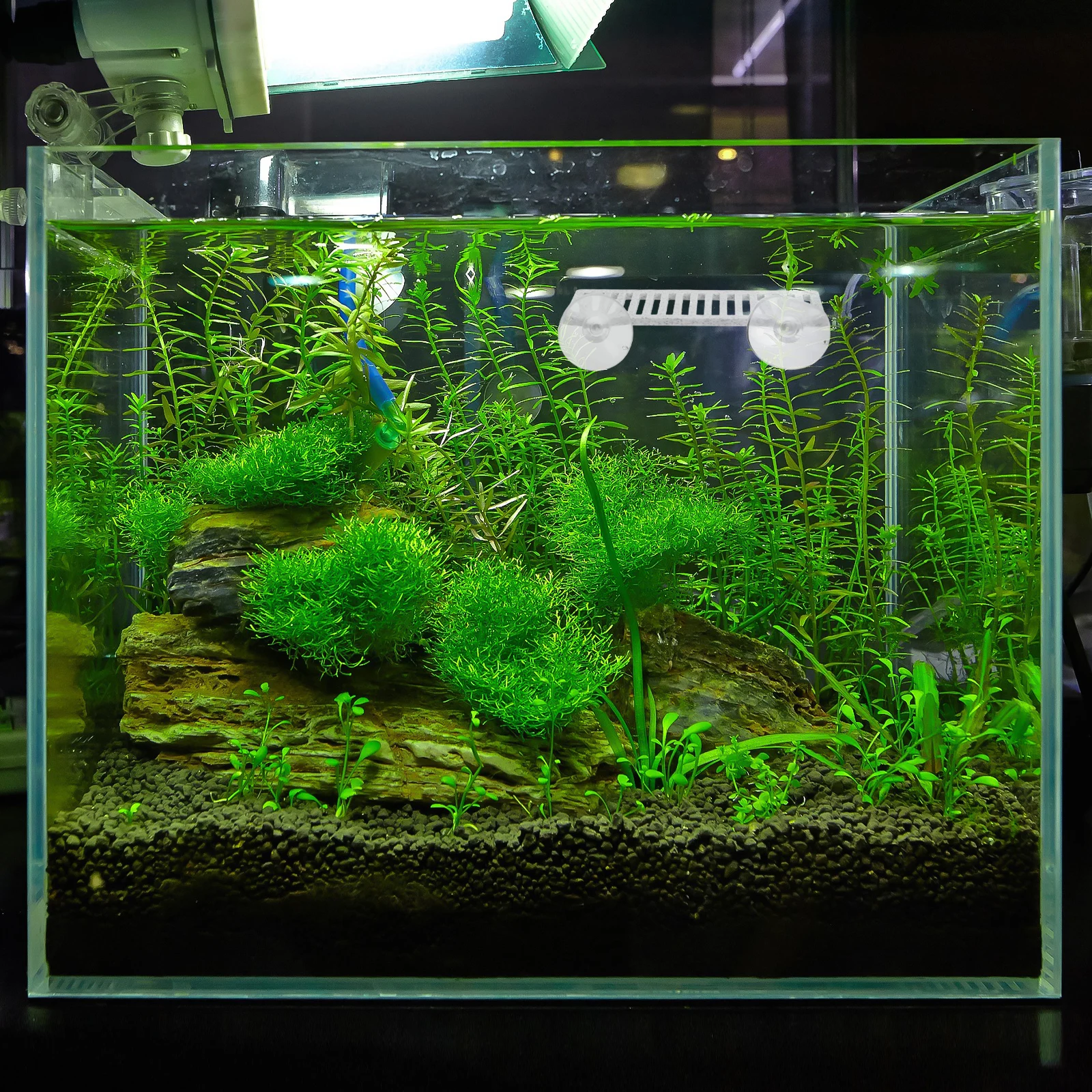 

3D Printed Betta Fish Resting Bed Aquarium Decor Lifelike Fish Tank Ornament Floating Betta Tank Accessories