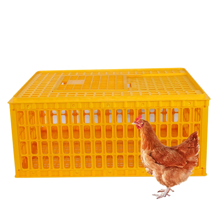 

Chicken Coop/Poultry Transport Cage Price/Plastic Chicken Crate