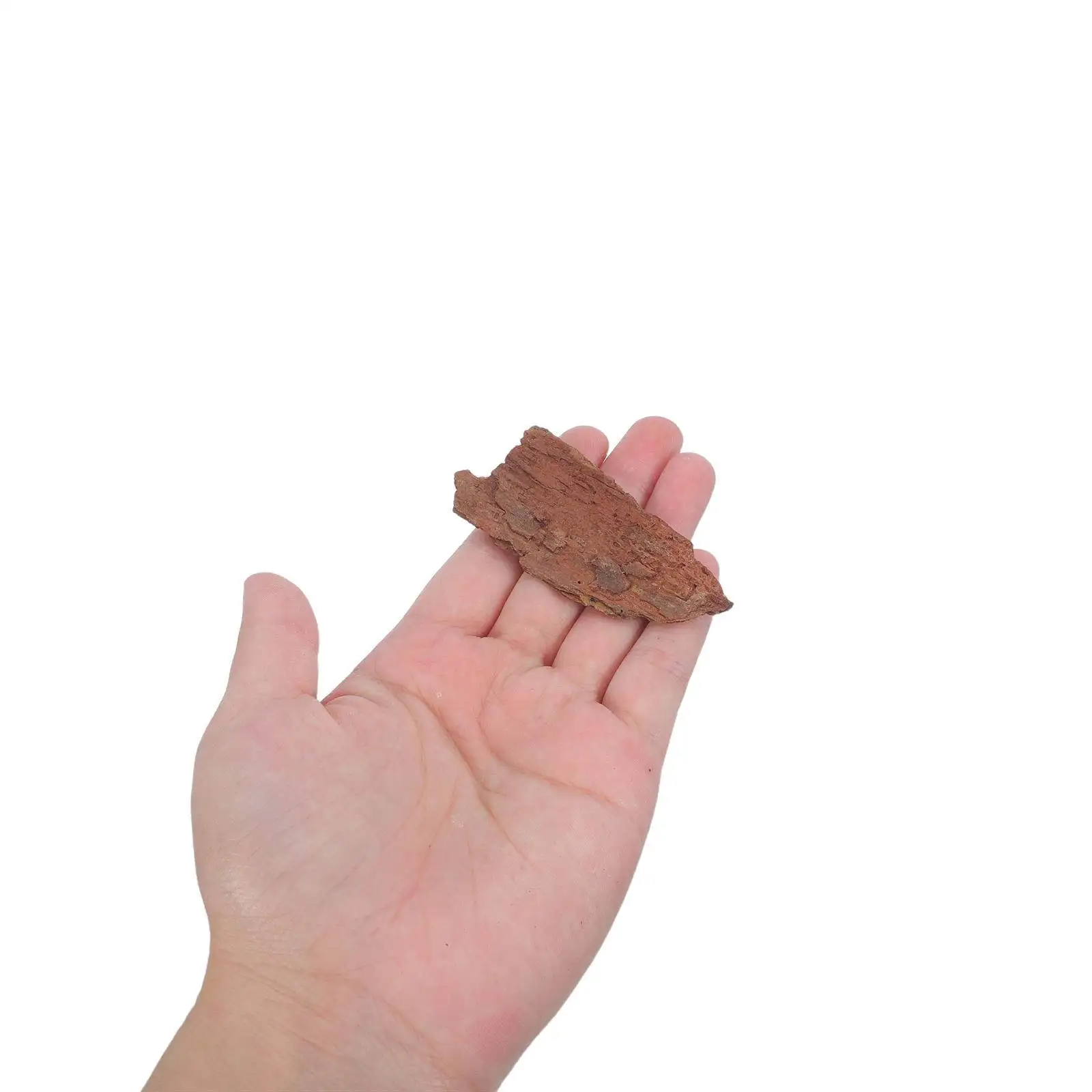 10Pcs Decorative Bark Chips Realistic Tree Bark for Miniature Scenery Natural Texture for Dioramas Fairy Garden Terrarium Sand