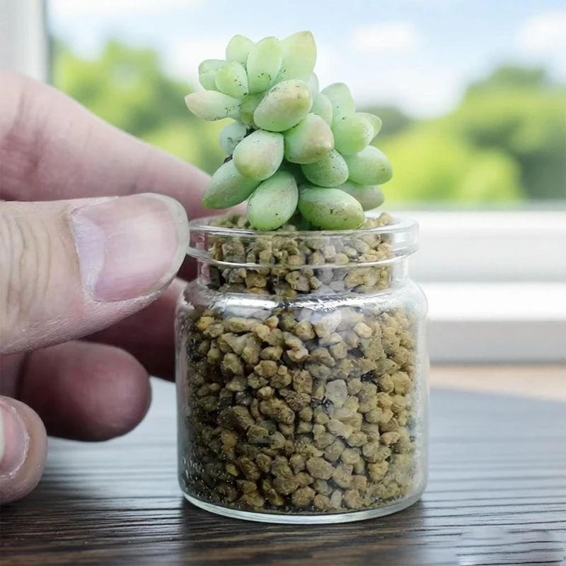 1Pc Small Glass Bottles With Cork Stoppers DIY Plant Decoration Mini Glass Vials Cork Message Glass Vial Wishing Bottles 50ml