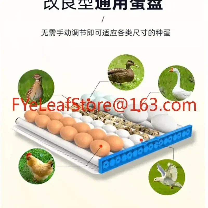 Smart home automatic chicken, duck, goose egg climbing pet incubator constant temperature bird egg incubator