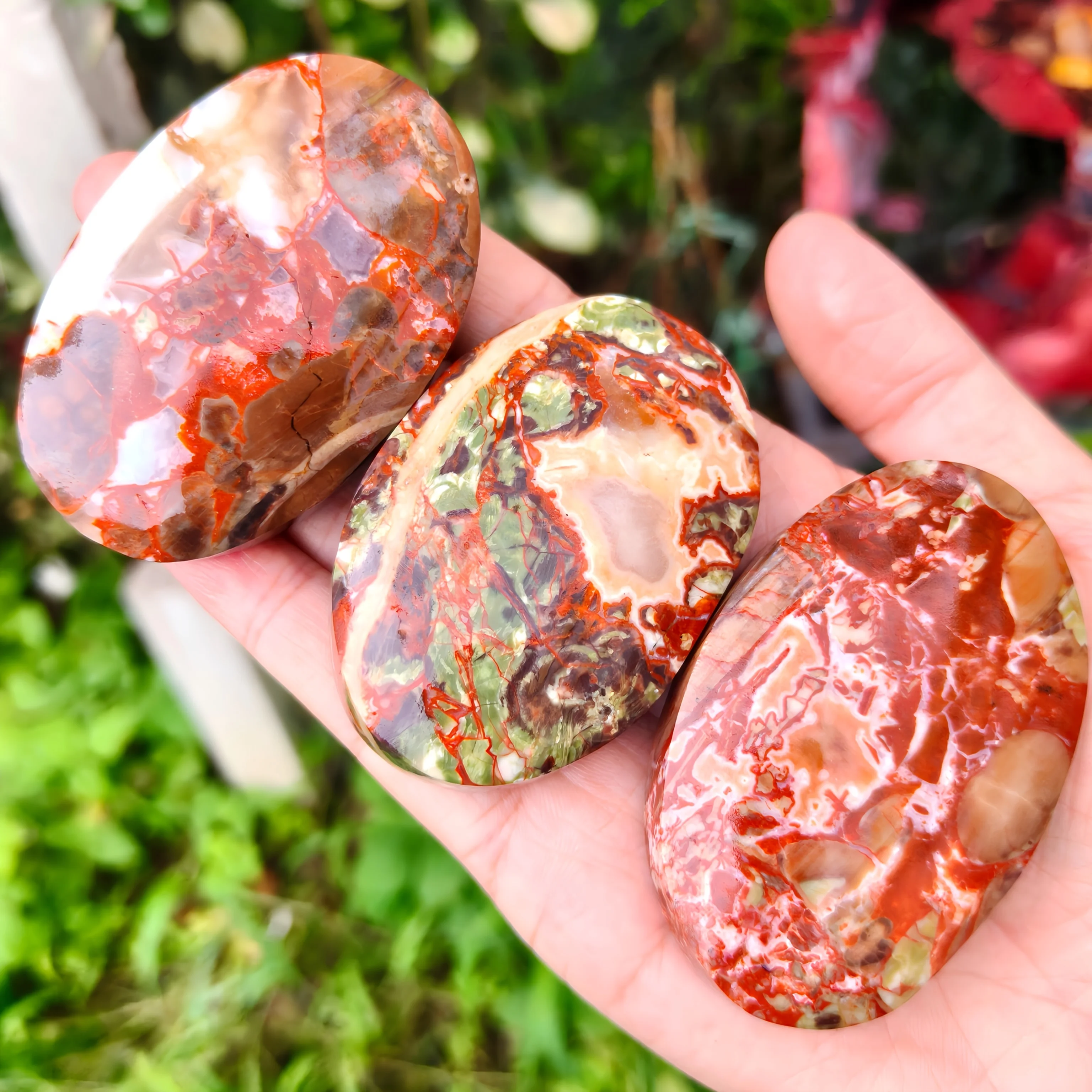 Polished natural money agate palm stone, suitable for home décor and Valentine's Day gifts.