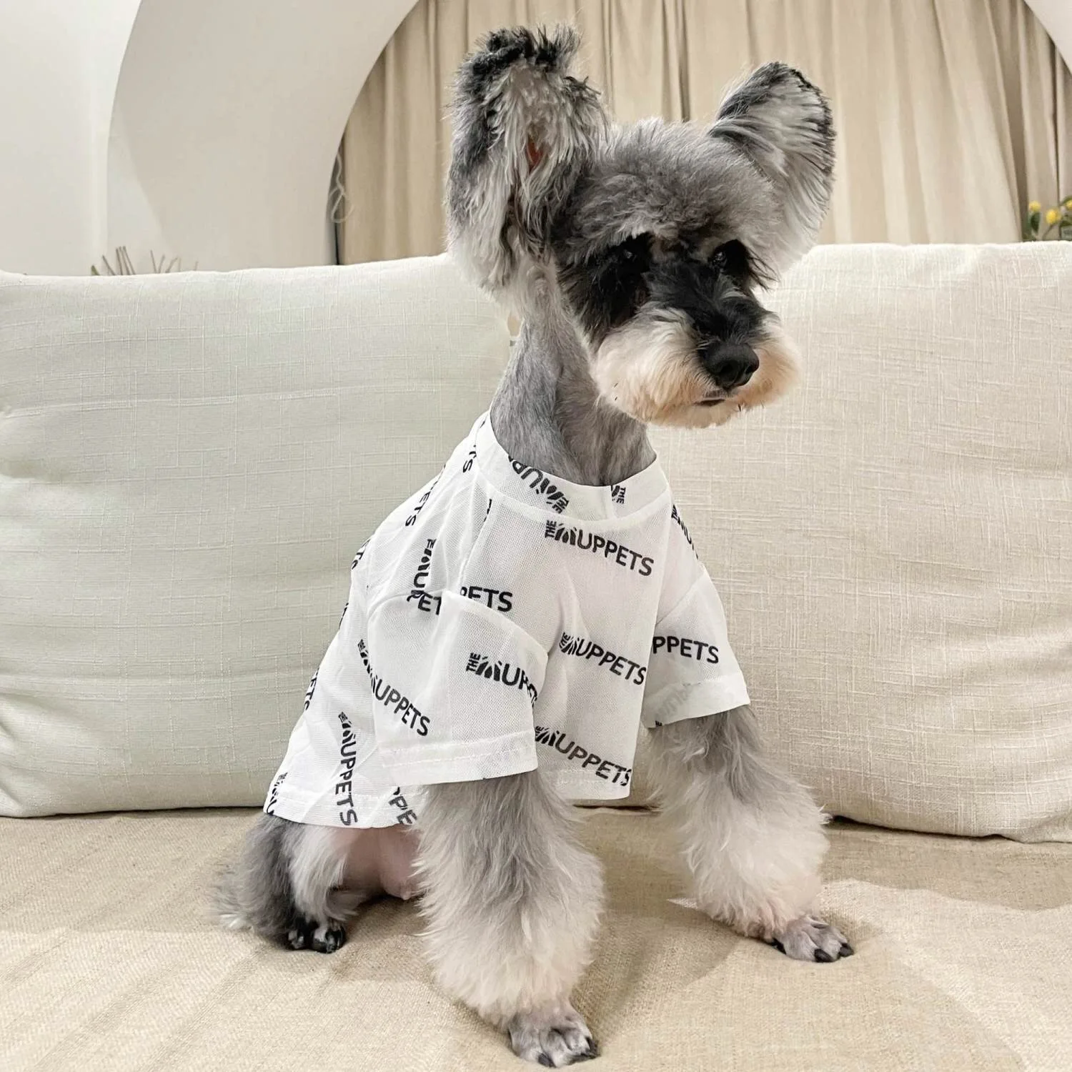 Mesh Pet Dogs Clothes for Small Medium Dogs Summer Schnauzer Teddy Pug Dog Thin Breathable Cool Cats Puppy Clothing Pet T Shirt