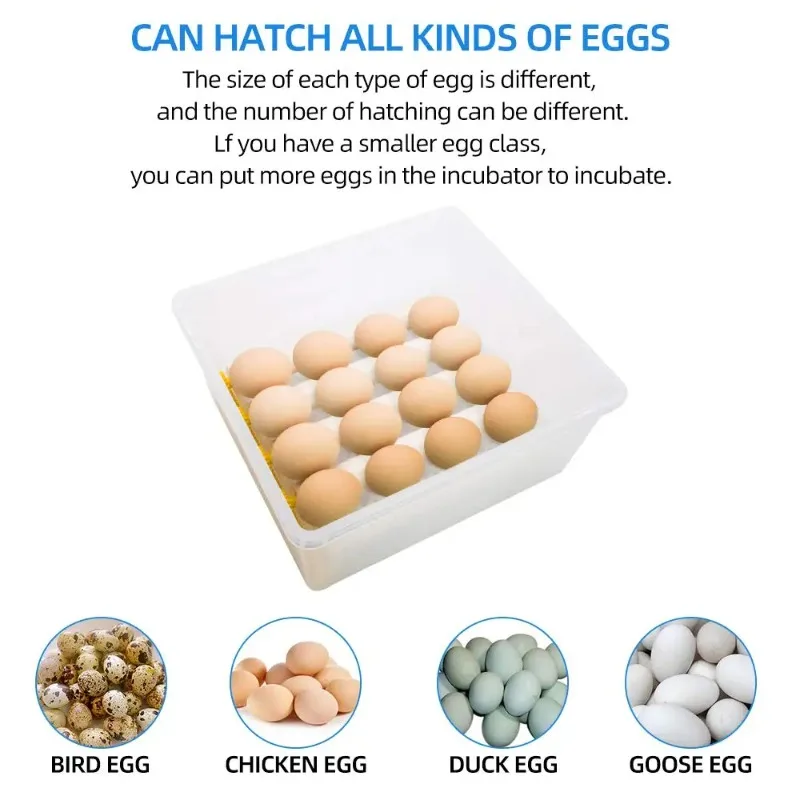 36 Small Egg Incubators for Hatching with Humidity Control and Automatic Turning