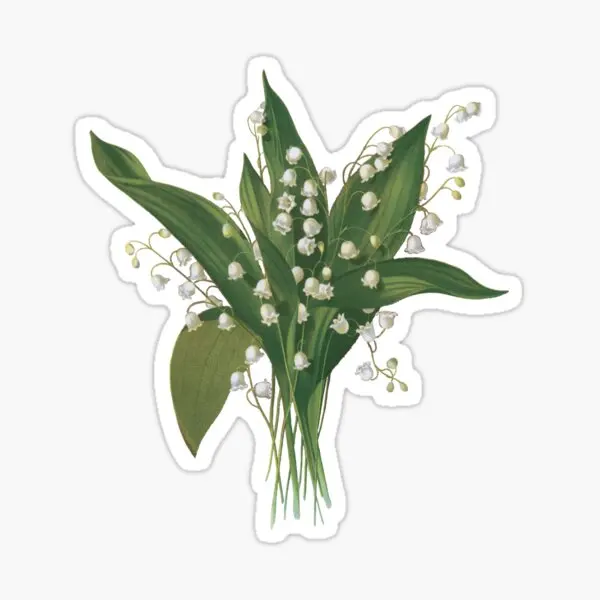 Lily Of The Valley Bouquet  5PCS Stickers for Home Wall Stickers Car Cute Decor  Print Living Room Anime Window Cartoon Funny