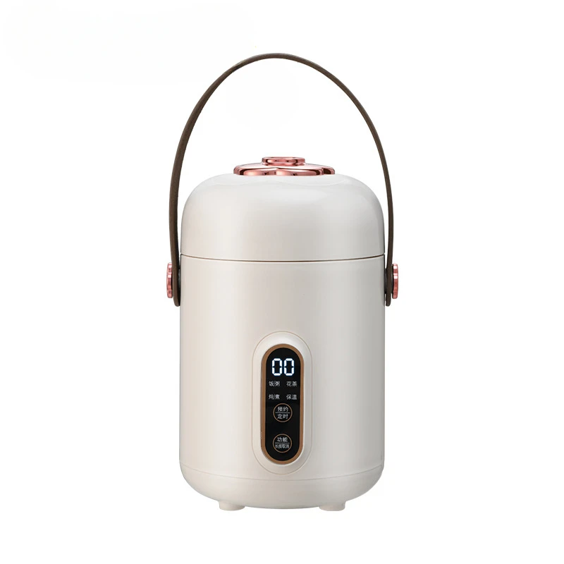 Health Tea Water Boiler Stew Hot Pot Soup Porridge Slow Cooker Rice Cooking Heating Lunch Box Food Warmer 110V Electric Kettle