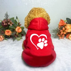 Puppy Pet Hooded Sweatshirt Autumn Winter Two-legged Pocket Cat Dog Clothes