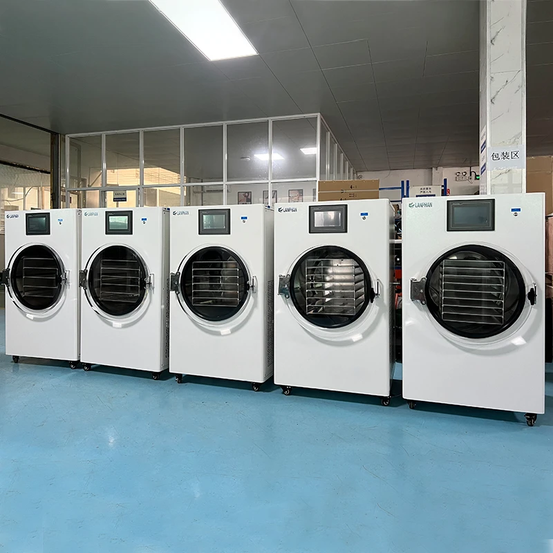 Freeze Dryer Drier Freeze Dryer Machine Home Use Freeze Dryer Machine Small Milk