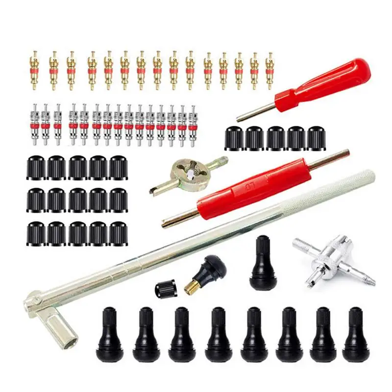 65pcs Car Tire Valve Stem Installation Tool Kit Valve Install Tool Repair Tool Valve Core Remover Valves Core Installer Kit