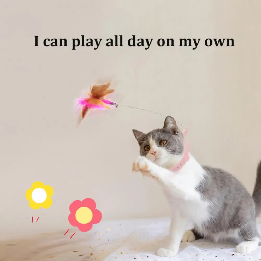 Self-Help Cat Teasing Wand with Bell, Pet Collar, Fun Stick, Multifuncional, Engraçado, Interativo, Cats Supplies, Gatinho