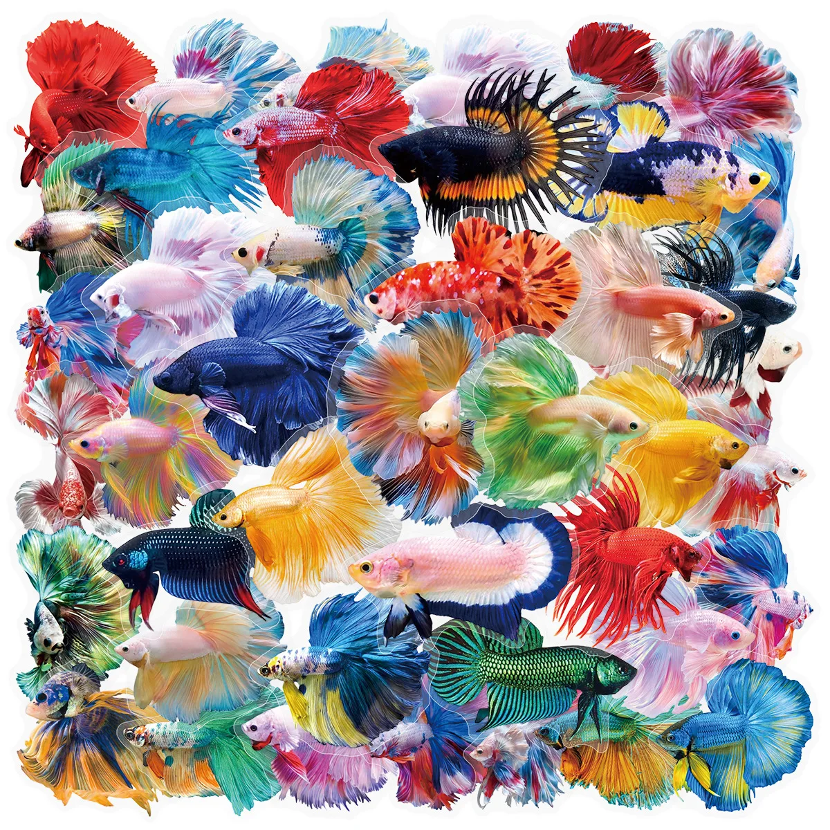 50pcs Colorful Betta Fish Stickers Cartoon Graffiti Stickers DIY Phone Guitar Laptop Notebook Suitcase Cup Waterproof Stickers